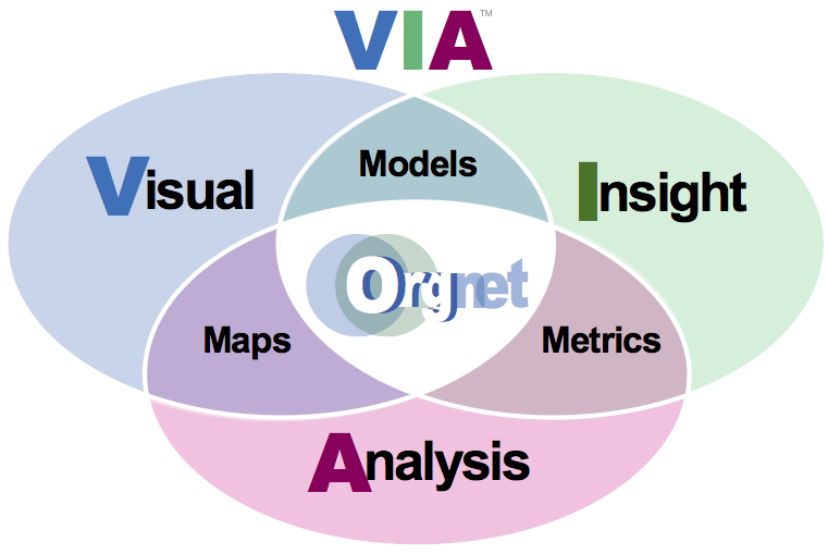 Orgnet Competencies & Deliverables